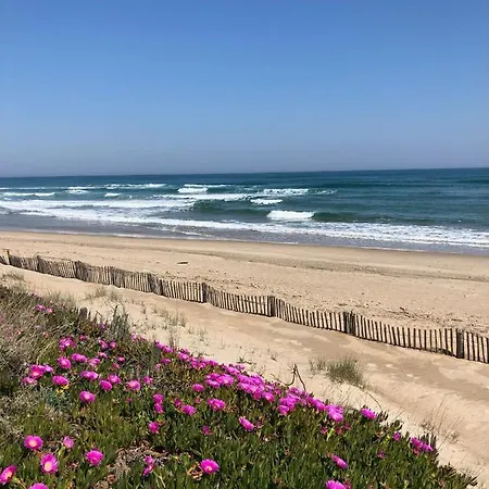 Avec Piscine Natureva By 8h