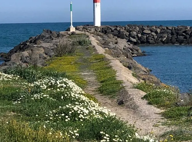 アパート Studio Piscine Le Natureva By 8H アグド