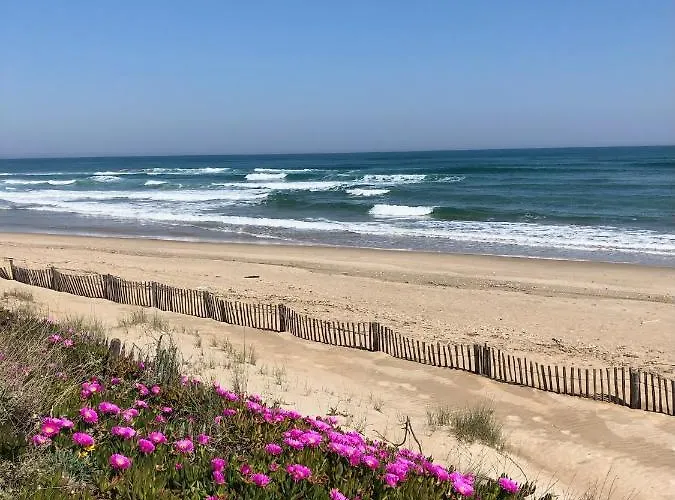 Studio Piscine Le Natureva By 8H